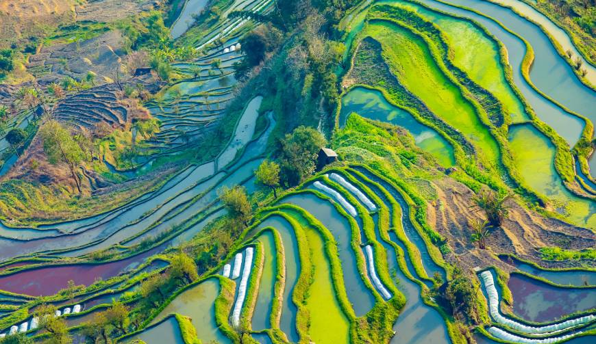 宝妈必备神器：丰顺县产品视频拍摄轻松育儿好帮手
