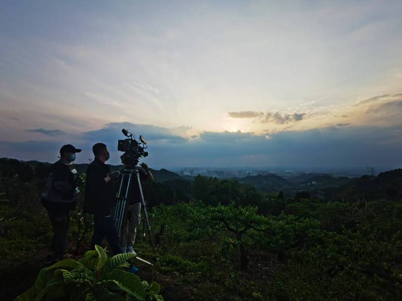 聚焦丰顺县产品宣传视频拍摄公司，用专业实力铸就品牌传播传奇