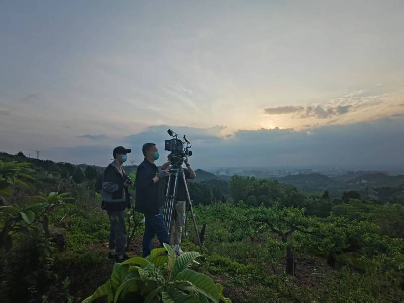 创意破圈！丰顺县电商产品宣传视频用故事化叙事引爆流量
