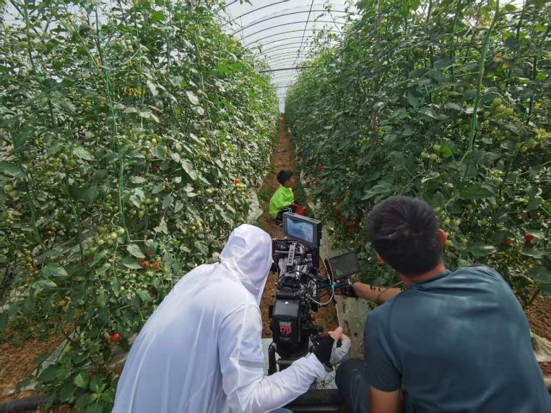 丰顺县产品宣传视频拍摄公司进阶指南，助力品牌抢占传播高地